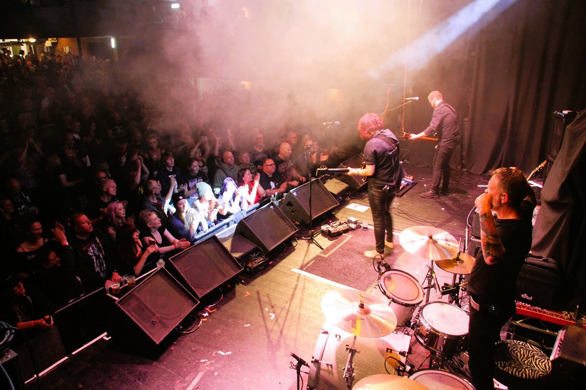 Kath & The Kicks tweet media