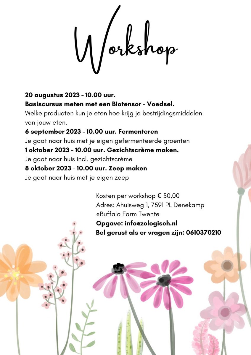 Update workshops @buffalofarmtwente