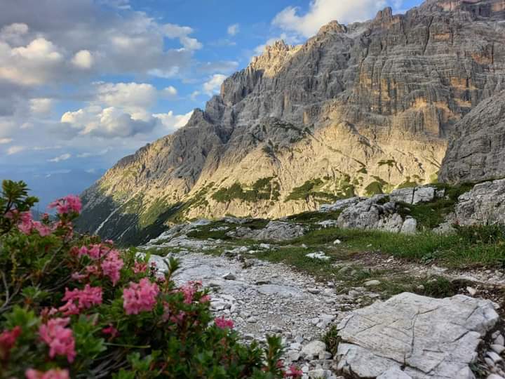 irlandese67's tweet photo. Oggi alto alto .... e si tocca quasi il cielo!
#buongiornocosì #ilparadiso
#nonvolertornare #altoalto #stancamafelice https://t.co/oNf7LWwnEy