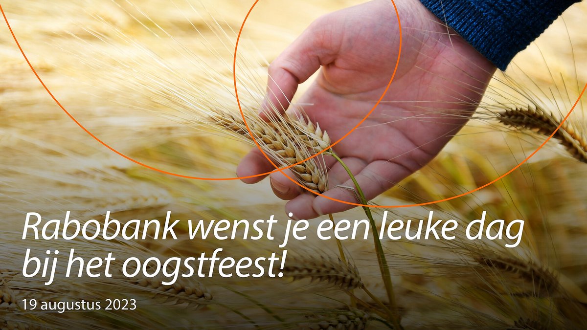 Vandaag is het oogstfeest van Vallei Horstee. Een gezellige dag met voor ieder wat wils! Ploegwedstrijden, demonstraties en kinderactiviteiten. Kom bij ons een blokje kaas proeven!

#oogstfeest #ploegwedstrijd #royalbelleerdammer #Rabobank

valleihorstee.nl/oogstfeest-xxl