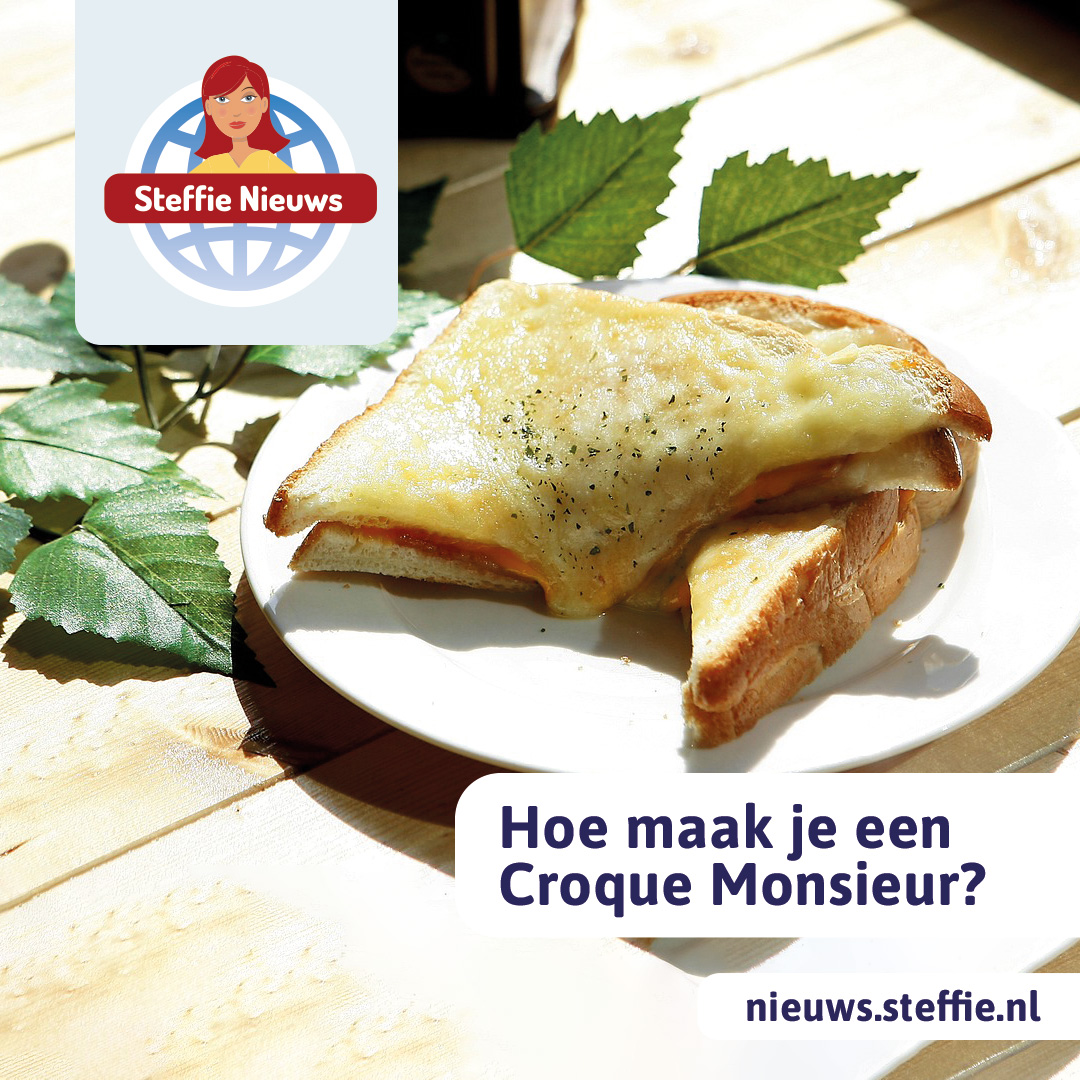 SteffieHelpt's tweet image. Een Croque Monsieur is een Franse variant op onze tosti. Het is een warm broodje, gemaakt met ham en kaas. Waarom heet het zo en hoe maak je het? Lees of luister verder op ow.ly/Vpi350PAFv2 
#minitosti #beemster #simpel #meedoen #zelfmaken #recepten #koken #kaas #ham
