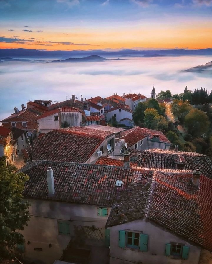 Motovun at dawn 🇭🇷