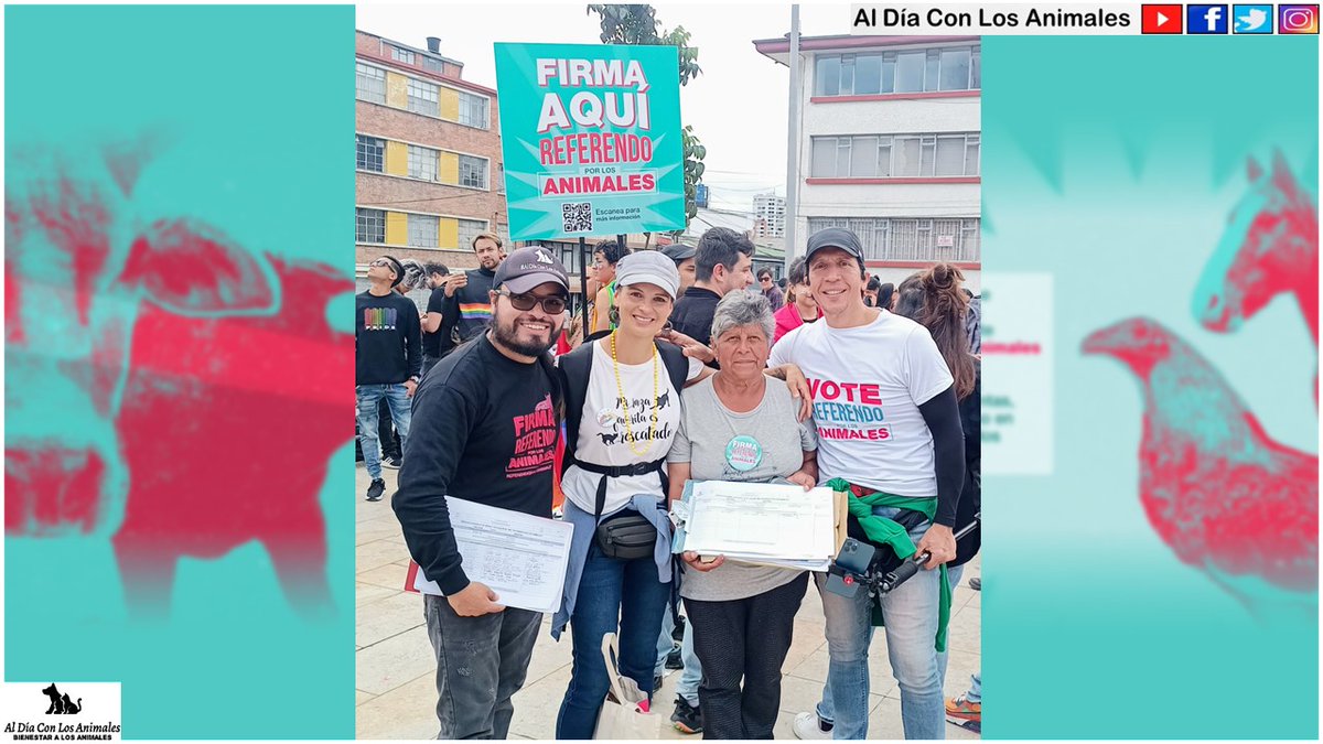 DiaAnimales's tweet photo. @VoteSiXAnimales @Bogota @JulianMorenoB @DanielChucho2 @lizz_ddhh @JamarukMusik @andreanimalidad @jhonnra @ivanmol84 @COLSinToreo @RescataAnimales @carlospopular @valaaguelaquesi @AgroColombia_ @AngieChaparroS @lcsarmiento @domingoanimal @NoticieroAnimal @SubaSomosTodos @PaulinaLaponte @chuchomerchan @WilmerBrinez @yanethpulidoe @DanielHabif @petrogustavo @MFSubaLGBTIMAZ @sergiobarbosach @PlataformaALTO @DoctorKrapula @PilarOrjuela7 @Citytv @Subalternativa @ElQueLosDELATA @IgualdadAnimal @prensa_librecol @TropiBogota @PlazaImperial @HogarAnimalista @PaolaM22_ @dcRadioBogota @CamiloJaramill @CAV_Vegano @huertaangelitac @IvMolz @NoticiasUno RT (HILO...⬆️) #ProyectoAla, @domingoanimal, y #FelipeHadadÁlvarez ◀️.
¡Agéndate y súmate que seguiremos recogiendo más #Firmas! 📋
#Domingo, #02 de #Julio de #2023 🇪🇨
📩 diaadiaconlosanimales@gmail.com - 📱 3015431628 - @carlospopular - #AlDíaConLosAnimales ✅ RT ¡Gracias! https://t.co/leUqd7htyf