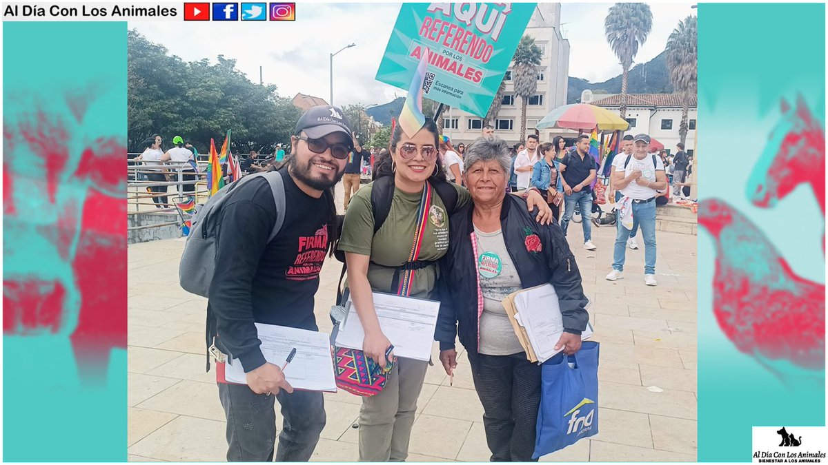 DiaAnimales's tweet photo. @VoteSiXAnimales @Bogota @JulianMorenoB @DanielChucho2 @lizz_ddhh @JamarukMusik @andreanimalidad @jhonnra @ivanmol84 @COLSinToreo @RescataAnimales @carlospopular @valaaguelaquesi @AgroColombia_ @AngieChaparroS @lcsarmiento @domingoanimal @NoticieroAnimal @SubaSomosTodos @PaulinaLaponte @chuchomerchan @WilmerBrinez @yanethpulidoe @DanielHabif @petrogustavo @MFSubaLGBTIMAZ @sergiobarbosach @PlataformaALTO @DoctorKrapula @PilarOrjuela7 @Citytv @Subalternativa @ElQueLosDELATA @IgualdadAnimal @prensa_librecol @TropiBogota @PlazaImperial @HogarAnimalista @PaolaM22_ @dcRadioBogota @CamiloJaramill @CAV_Vegano @huertaangelitac @IvMolz @NoticiasUno RT (HILO...⬆️) #ProyectoAla, @domingoanimal, y #FelipeHadadÁlvarez ◀️.
¡Agéndate y súmate que seguiremos recogiendo más #Firmas! 📋
#Domingo, #02 de #Julio de #2023 🇪🇨
📩 diaadiaconlosanimales@gmail.com - 📱 3015431628 - @carlospopular - #AlDíaConLosAnimales ✅ RT ¡Gracias! https://t.co/leUqd7htyf