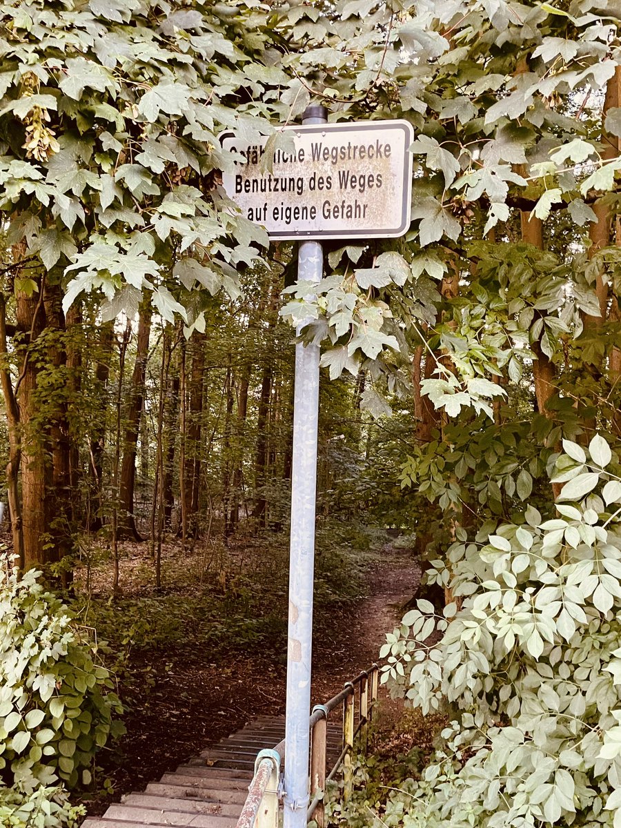 Lesen gefährdet die Dummheit.