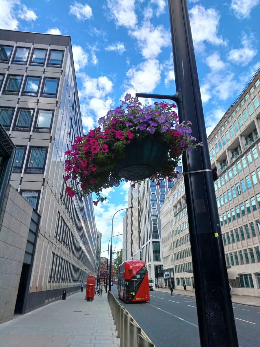 AnaMoretto4's tweet photo. #PostboxSaturday 
#TelephoneBox
#Flowers 
#RedLondonBus
#streetphotography 
Victoria Street, Westminster, #London. https://t.co/A0hRukkGds