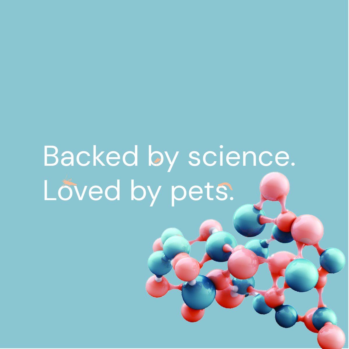 buggybix's tweet photo. Happy #ScienceWeek 🔬 #BuggyBix loves innovation &amp; exploring the world of possibilities opened up by our talented #Australian scientists 👩‍🔬 A big shout out to our research partners @westernsydneyu for their continued commitment to the insect industry and our BuggyBix journey! https://t.co/Mo3tpIx2Ey