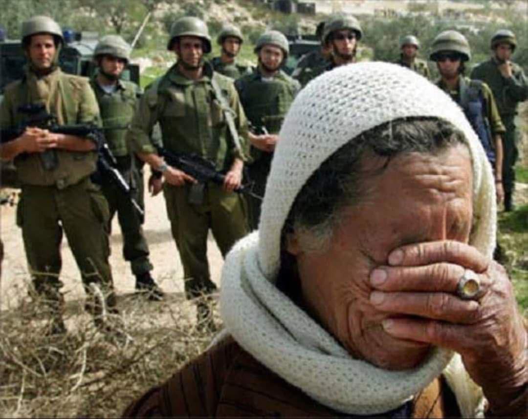 Can easily tell who is the indigenous to this land if Palestine and who is the invading thugs. #IsraeliOccupation