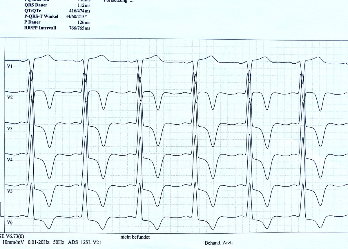 Ekaterina Stellbrink tweet media