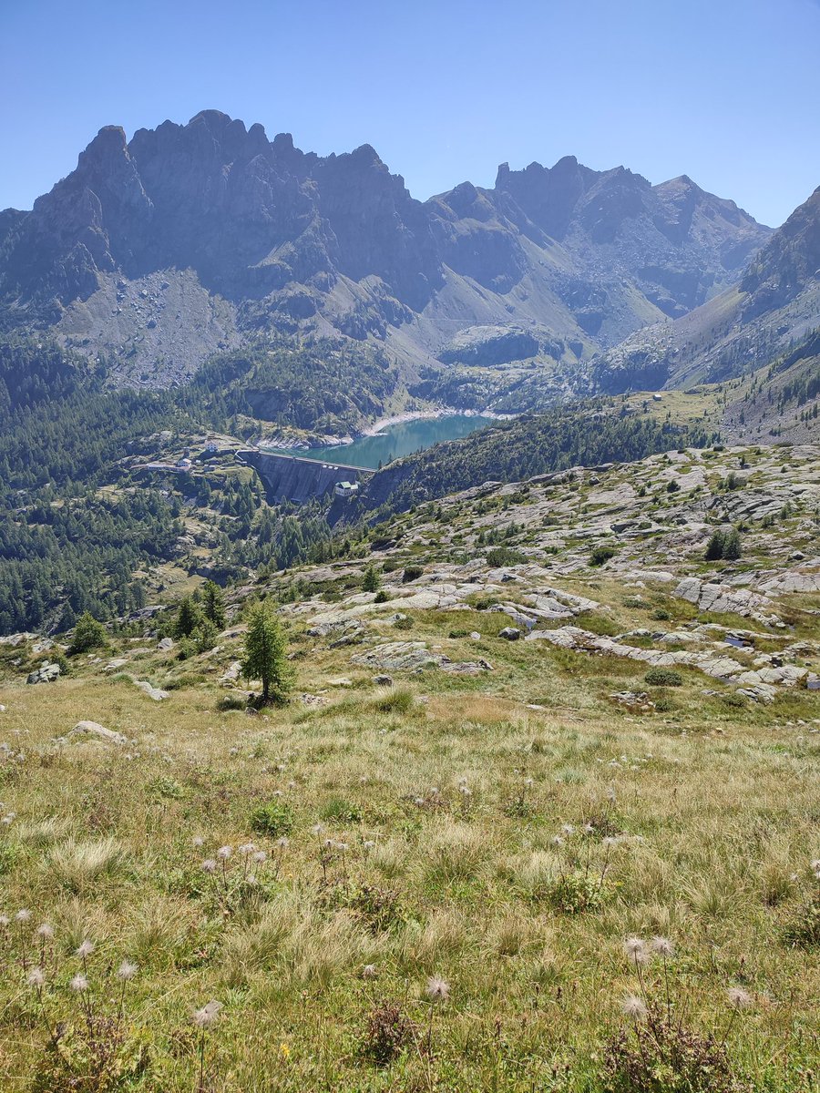 acquistalessio's tweet photo. Mattinata stupenda sulle mie cime... adesso pizzoccheri 😋😉⛰️☀️🏃🔝
#buonsabato
#valgerola https://t.co/kNzswVIDdd