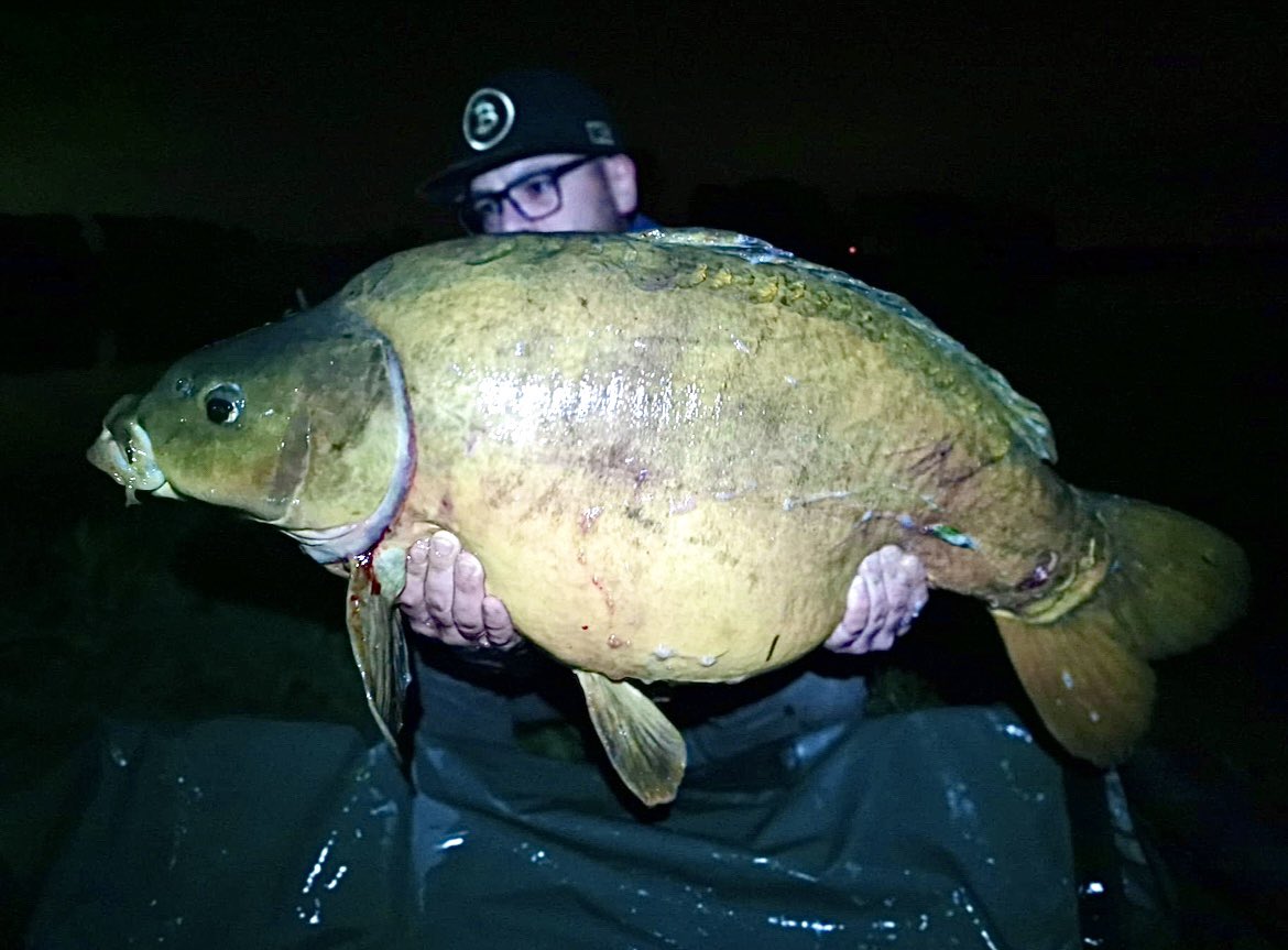 btcritchie's tweet photo. After the #bitcoin dump I have my new all time high !!
Enjoy life sometimes
Matches my @Diditaihuttu bitcoin cap 😉 maybe it will bring good luck!
look at this beauty
46 pounds 👊🏻 on a Dutch river (Limburg)
#carp #carpfish #carpfishing #dutchriver https://t.co/VUnEtf8RQw