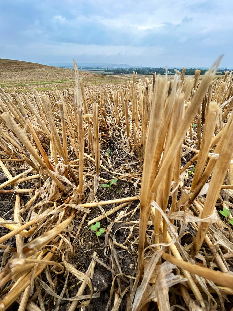 Matt Fuller tweet media