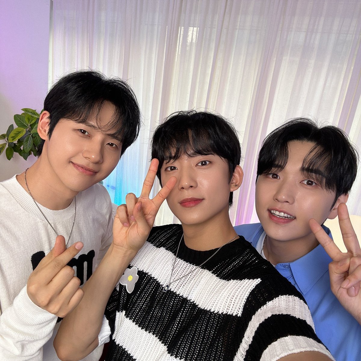 공찬 tweet media