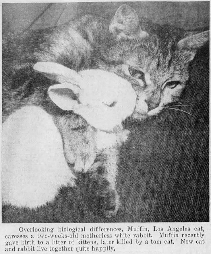 onlyyagirl_'s tweet image. 