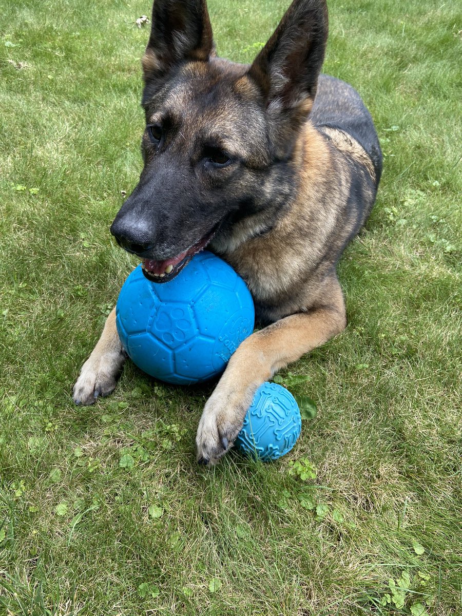 No you cannot have one, they’re both mine!