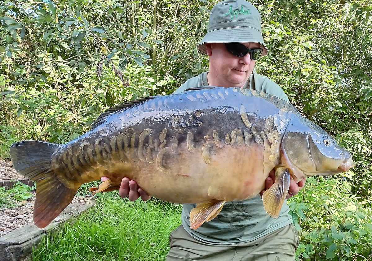 ChrisSp61435834's tweet photo. One from last week and  my main target fish from this lake. Alice at 28lb 9oz . Caught using a range of sticky baits  and impulse Supplies UK Tidal Amino Feed Stimulant and Tidal gel and impulse paste.
#ISUK #Impulsesuppliesuk #Stickybaits #Targetaquired https://t.co/HfFraLo6E5