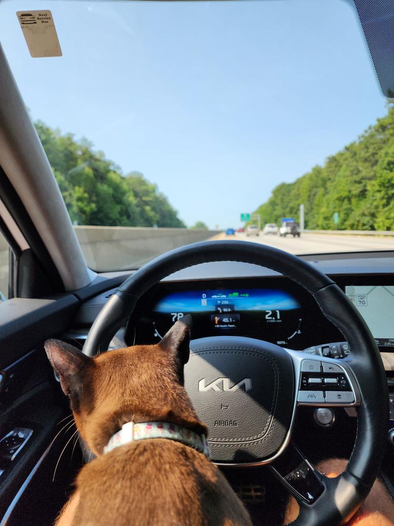 BigMooseCrypto's tweet photo. Jesus take the wheel https://t.co/btulfjC56y