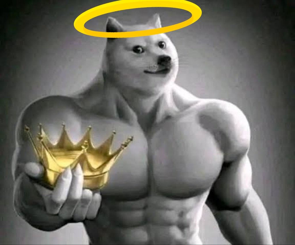 arryan_a's tweet photo. Meme king 🤴
#RIPCheems #RIPball #RIPBalltze https://t.co/vt5TLKVY6c