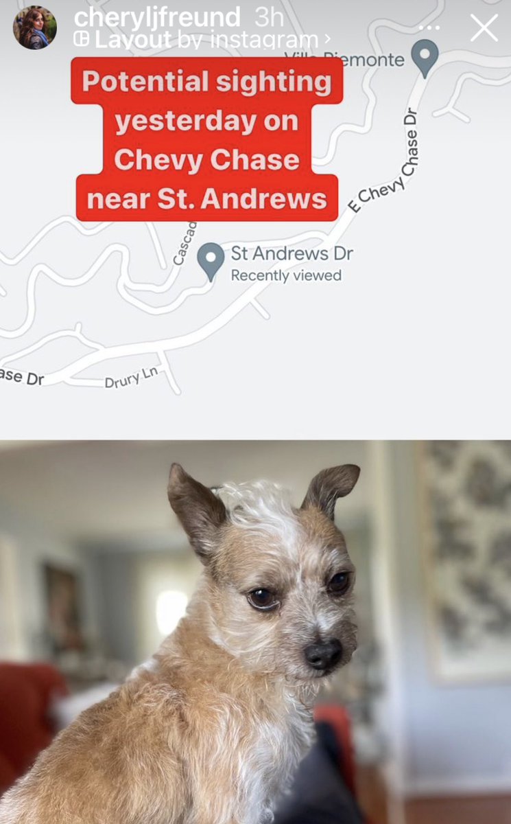 Rob Schrab tweet media