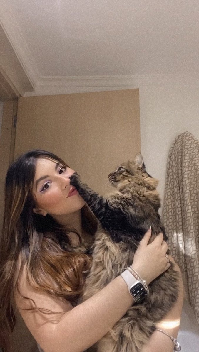 Pollypocket155's tweet photo. ¡Estoy enamorada de mis gatoooos! 😩❤️ https://t.co/06ASIqInKx