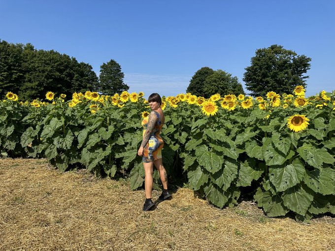 Best way to start the day? In a sunflower field!!! 🌻✨😎🐝 https://t.co/bdoBsTW2tU