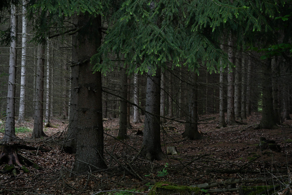 archillect's tweet image. 