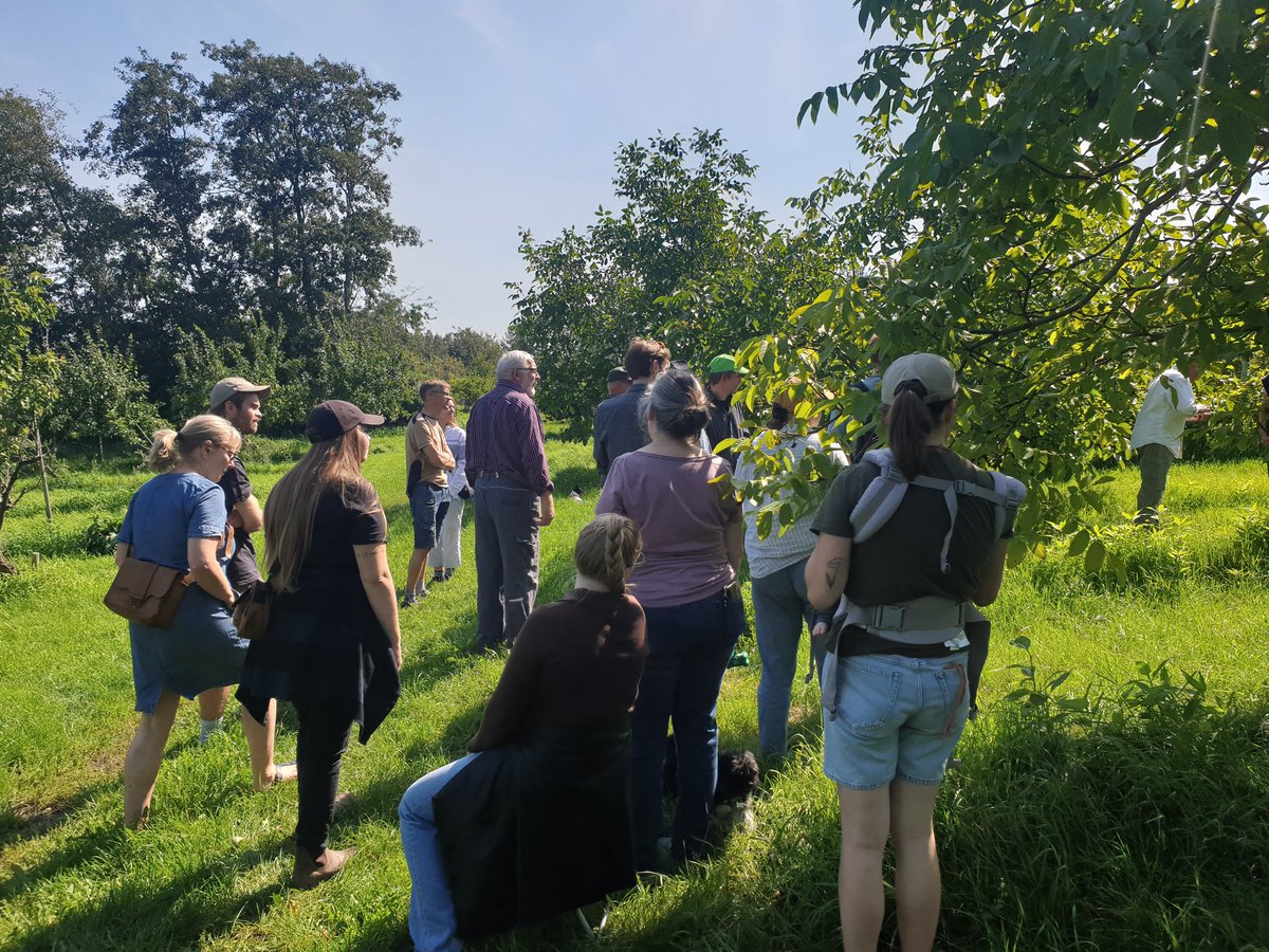 RegenFarmer's tweet photo. Great participation in our course today on perennial crops and vegetables.
#agroforestry #treecrops https://t.co/hX4WOt8Eeb