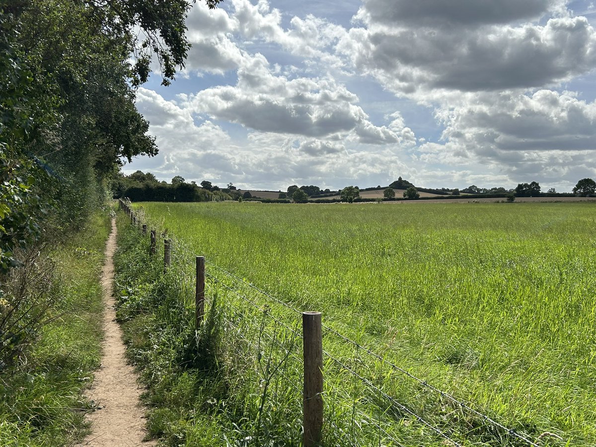 AitchTon's tweet photo. Happy World Photography Day!  📸Somewhere in Nottingham. https://t.co/Uki0JV4Aad