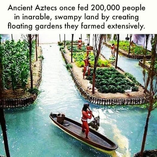 AmericanIndian8's tweet photo. #INDIGENOUS #TAIRP https://t.co/zYaizNSSFt