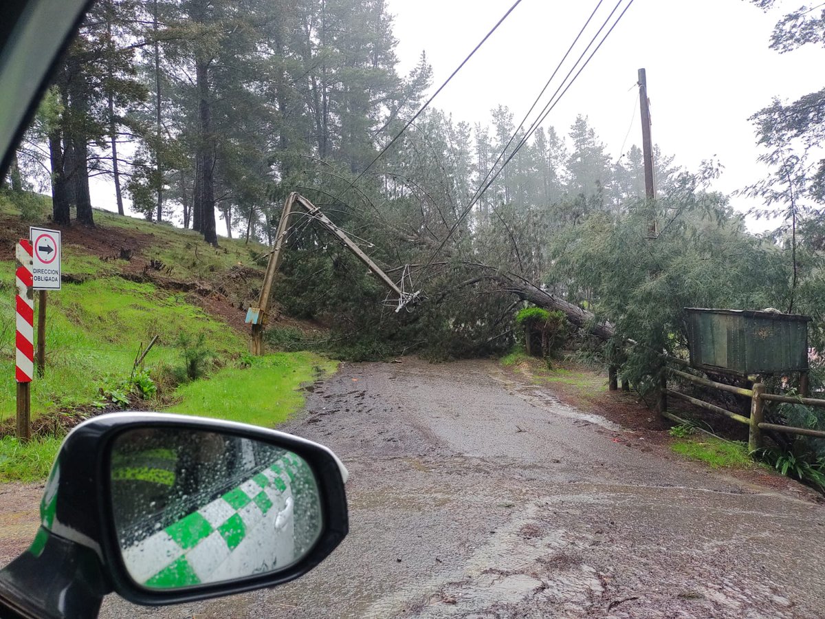 La siguiente imagen muestra que la interrupción del suministro eléctrico se debe a la caída de un árbol fuera de la zona de seguridad, en sector Sol de la Península, altura del sitio 18, comuna de #Vichuquén. Nuestras brigadas se dirigen al lugar para realizar las labores de