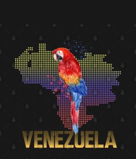 Neyda21708001's tweet photo. #VenezuelaEsAfirmativa
#ParoDigital 
@Mippcivzla @NicolasMaduro @VTVcanal8 @PartidoPSUV @Neyda21708001 @neydaf1 

Venezuela Tierra de Gracia https://t.co/yx6DnjOcAS