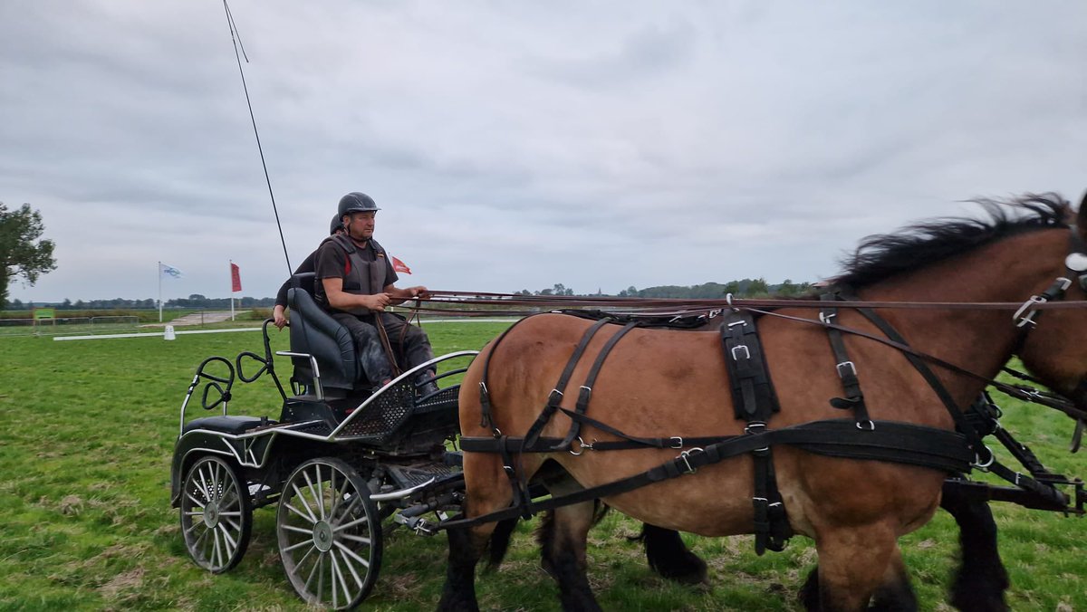 ronbrink61's tweet photo. Morgen rij ik demonstratie #zesspan #mennen op de #phcnoordwelle met 5 eigen paarden en Lotje. Dank Karlijn Schellings dat Lotje mijn 6e paard mag zijn! Donderdag geoefend, het is een topspan. Dank aan het hele #team! @AnnQYHH @arink88 Ires, Adri, Willem, Karlijn. https://t.co/CqTT4O3WFb