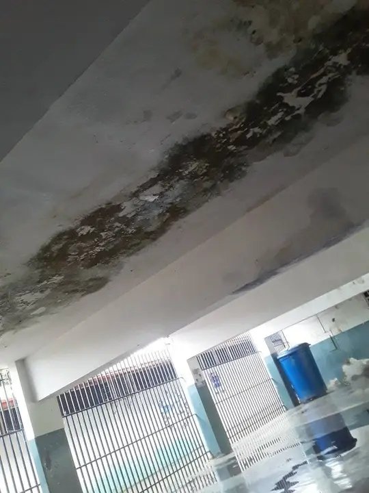 cachi2005's tweet photo. @noticierovv Así se encuentra El Grupo Escolar Tomás Montilla,de Soledad, Ciudad Orinoco, Municipio Independencia Estado Anzoátegui https://t.co/FLdqSWEyWH