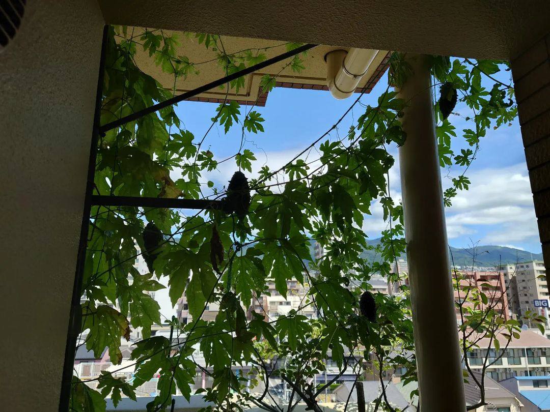 Outside the window of the cool, dry land, the station's dim street lamps, the city of some strange and indifferent eyes, in that night when the heat is fading, so gently into my life.