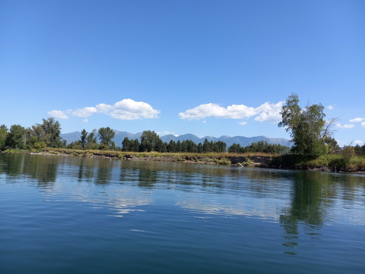 RanchEmu's tweet photo. Fish'n on Flathead River! Beautiful but hot day. Don caught a pike minnow. Hardly any traffic, probably because the waters are so low. What are you doing this weekend?!
#montanaemuranch #flatheadvalley #flatheadriver #flatheadfishing #flathead #fishing #fishingislife #fishinglife https://t.co/VIjvD26vgN