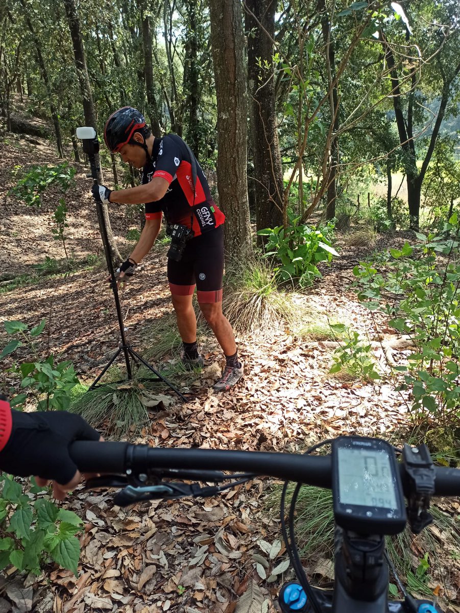 hectorfloresph's tweet photo. Un vídeo de la sesión de acción subiendo una colina.
Bosque de la Primavera, Jalisco

#Ciclismo #ciclista #bicicleta #mtb #ciclismodemtb #ciclismodemontaña #gdl #laprimavera #bosquedelaprimavera https://t.co/4G6BuX5qDk