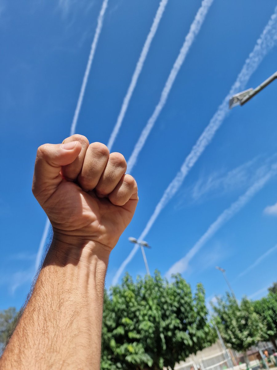 Puto Haru tweet media