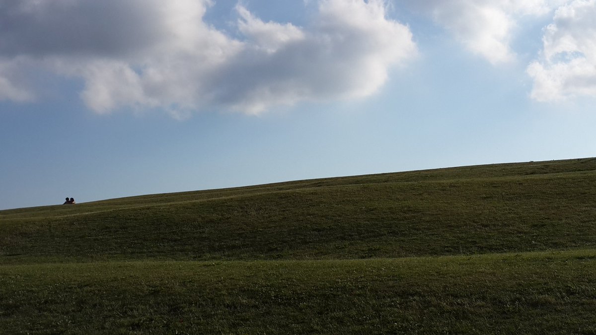 ggmarquez's tweet image. The closest I got to an #InternetExplorer image !

#WorldPhotographyDay #WorldPhotographyDay2023