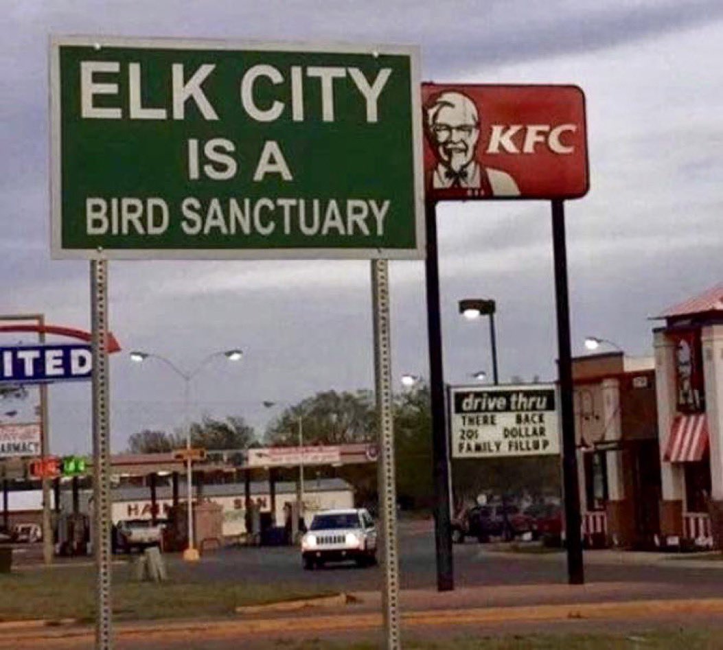 UncleDuke1969's tweet photo. except chickens, because fuck chickens https://t.co/d3Tnd9mEjL