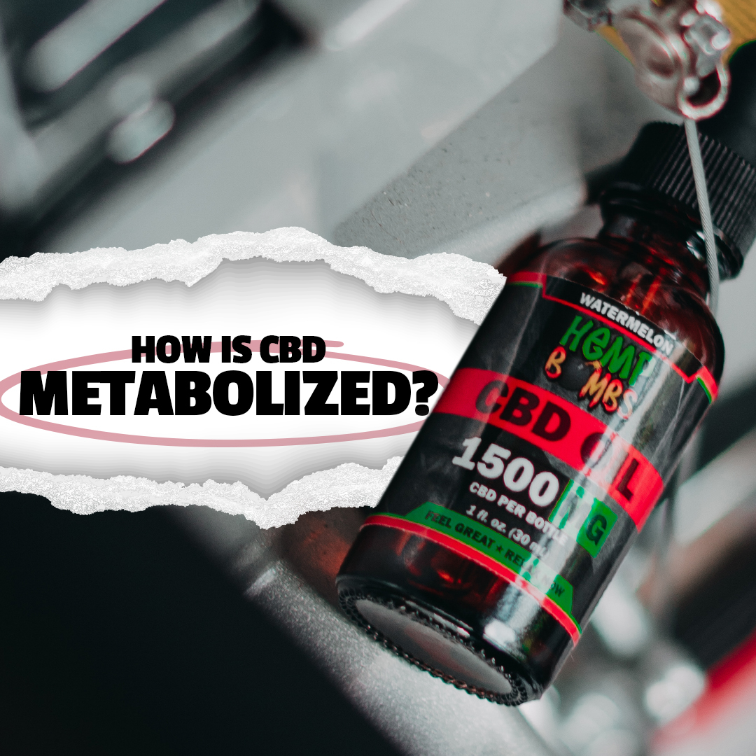 HempBombs's tweet photo. CBD metabolism can be a complex subject because there are so many variables that affect the metabolism of CBD in our bodies. If you have been wondering “how is CBD metabolized?,” we are here to break it down for you.
Read more here: https://t.co/hktn0yMGff
#cbd #cbdblog https://t.co/G0jGU7nUAw