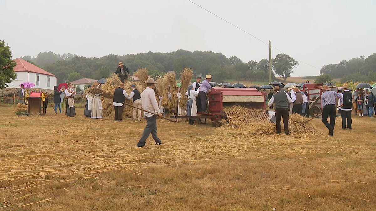 Lalín revive a malla do centeo cunha xornada festiva na parroquía de Doade g24.gal/-/lalin-revive…