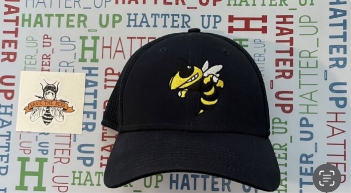 Hatter_up's tweet photo. Today is 🌎 World Honey Bee Day🍯🐝 My Hat choice is @SaltLakeBees #SavetheBees🐝 #Milb #NewEra #HatCollector #HatTwitter #StrechFit #HatoftheDay #FittedHatSociety @listofdays #seizetheday #Bees🐝 #Buzzbuzz #WorldHoneyBeeDay🐝  #WeekendVibes☀️ @NationalDayCal #CelebrateEveryday https://t.co/DtrZHstxTD