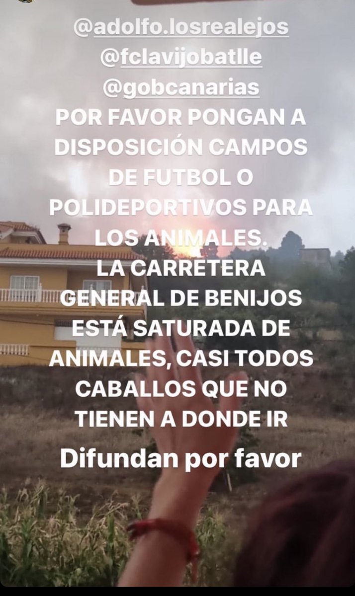 Valentin11522's tweet photo. #IFTenerife 
#IFArafoCandelaria 
#LaOrotava
#Adepac
#Tenerife 
#IncendioTenerife 
#RescateAnimalIncendio 
#ProtectorasTenerifeIncendio 
🐾🐾🐾🐾🐎🐕🐰🐐🐮🐢🐑🐦
aparte de los Animales de protectoras,esas zonas están llenos de zulos🐾😭con #podencos y moriran https://t.co/tJ9ee4WWN2