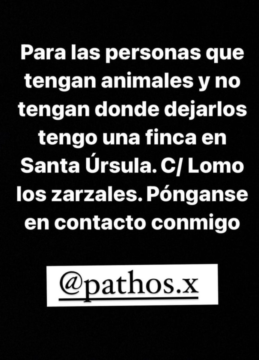 Valentin11522's tweet photo. #IFTenerife 
#IFArafoCandelaria 
#LaOrotava
#Adepac
#Tenerife 
#IncendioTenerife 
#RescateAnimalIncendio 
#ProtectorasTenerifeIncendio 
🐾🐾🐾🐾🐎🐕🐰🐐🐮🐢🐑🐦
aparte de los Animales de protectoras,esas zonas están llenos de zulos🐾😭con #podencos y moriran https://t.co/tJ9ee4WWN2