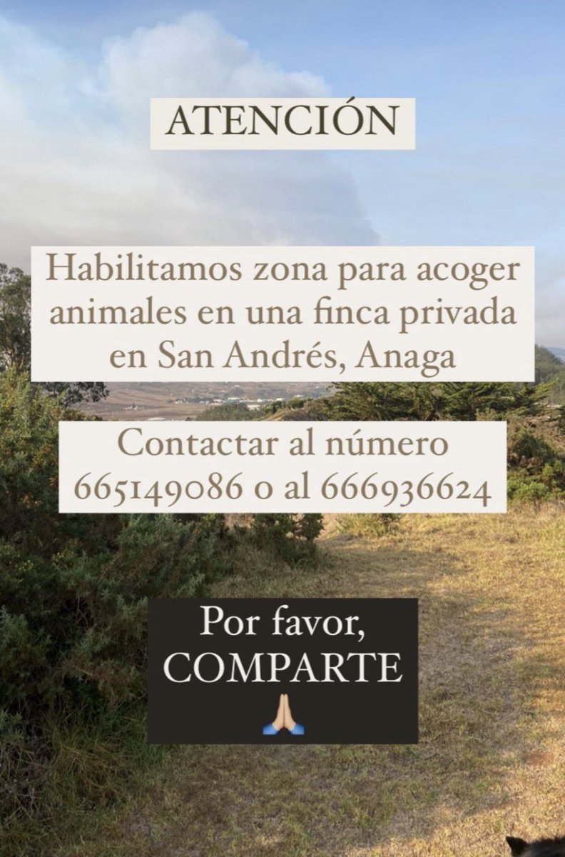 Valentin11522's tweet photo. #IFTenerife 
#IFArafoCandelaria 
#LaOrotava
#Adepac
#Tenerife 
#IncendioTenerife 
#RescateAnimalIncendio 
#ProtectorasTenerifeIncendio 
🐾🐾🐾🐾🐎🐕🐰🐐🐮🐢🐑🐦
aparte de los Animales de protectoras,esas zonas están llenos de zulos🐾😭con #podencos y moriran https://t.co/tJ9ee4WWN2