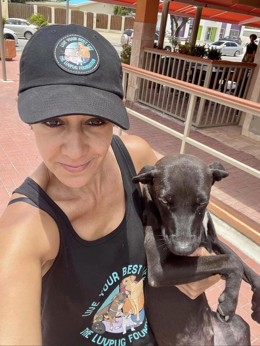 LuvPugFDN's tweet photo. Rescue mission status- We were able to trap and take this sweet female dog to the vet to be spayed.
She was in heat, so we are paying the vet boarding fees/meds for 5 days, then she will have to be released back to the streets b/c all rescues are full https://t.co/l1GcwvjgIK