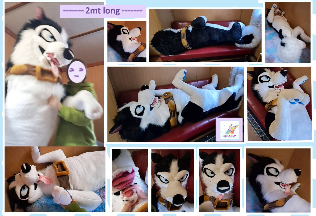 Kumaniji's tweet image. 2mt lomg custom plushie
#giant #handmade work as always 😊💜
Made in minky + fur

#dogplush #cuddleplush #customplush