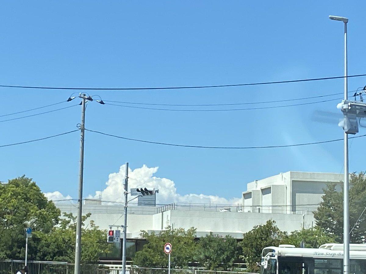 pucora's tweet photo. 溶ける暑さ https://t.co/LuljbBjap9