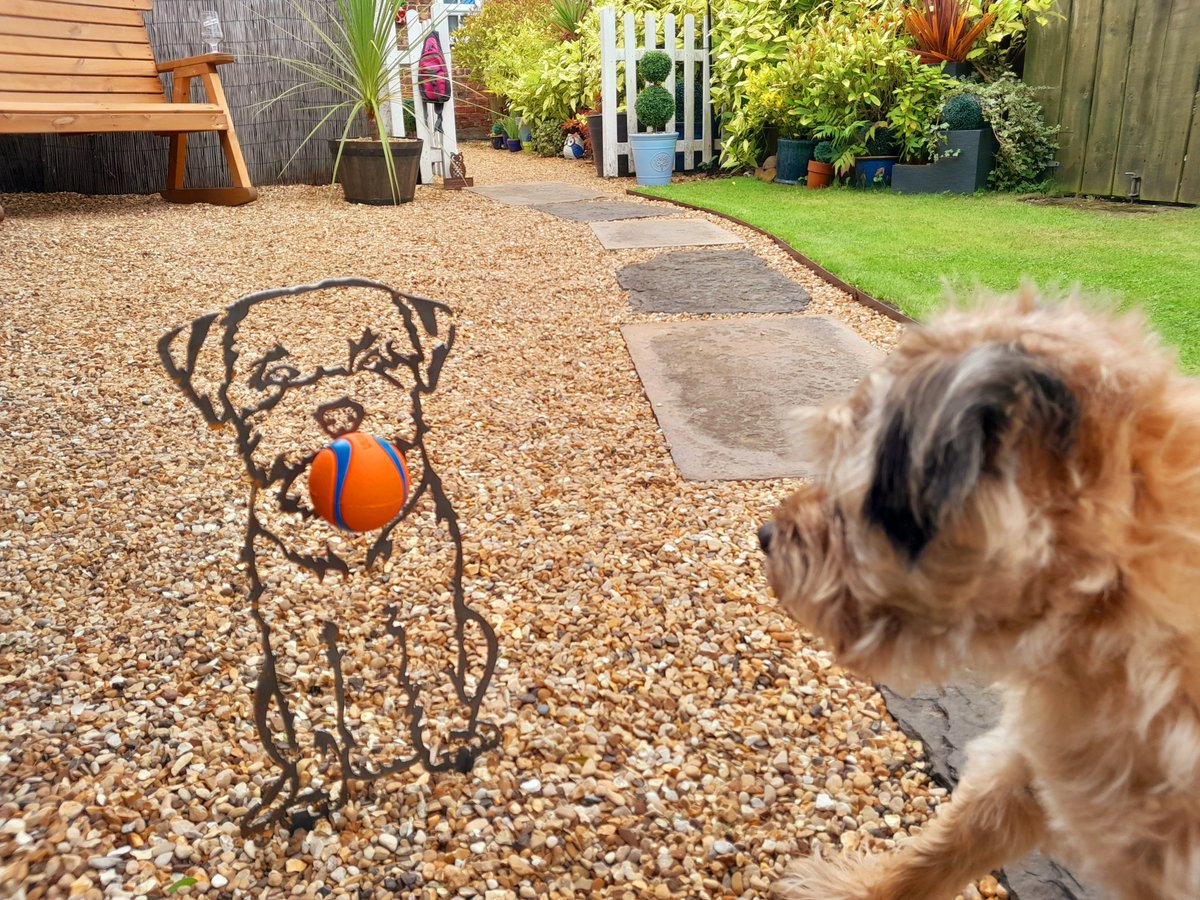 It's one thing having to share me garden but this is a big fat no!! I don't share me balls🤨
#BTPosse