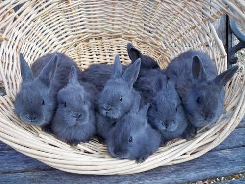 모에화를 멈출 수가 없다…..